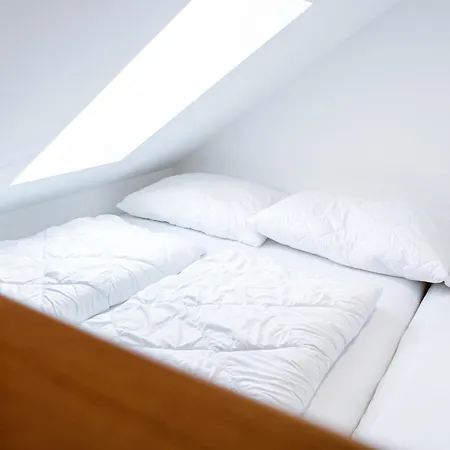 Guest house A Restauracia Twin Jasna 3*